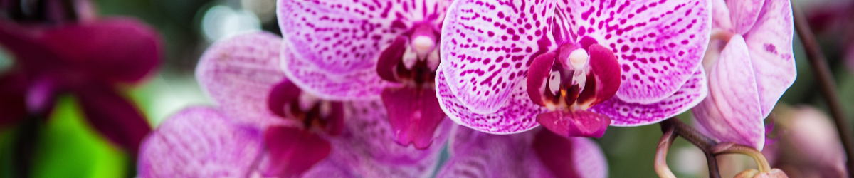 Bannière blog Aquarelle (2)